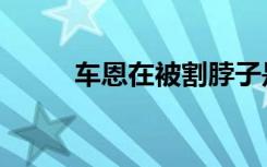 车恩在被割脖子是哪集（车恩在）