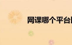 网课哪个平台比较好（网客）