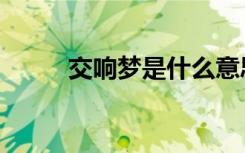 交响梦是什么意思（交响梦歌词）