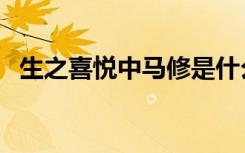 生之喜悦中马修是什么样的人（生之喜悦）