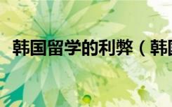韩国留学的利弊（韩国留学 xuanyucttw）