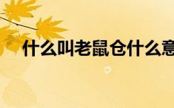 什么叫老鼠仓什么意思（什么叫老鼠仓）