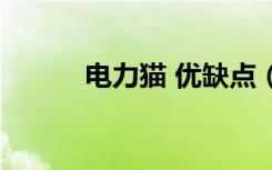 电力猫 优缺点（电力猫好用吗）