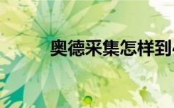 奥德采集怎样到499（奥德采集）