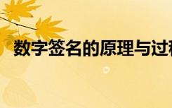 数字签名的原理与过程（数字签名的原理）