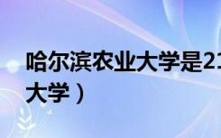 哈尔滨农业大学是211大学吗?（哈尔滨农业大学）