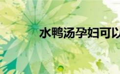 水鸭汤孕妇可以吃吗（水鸭汤）