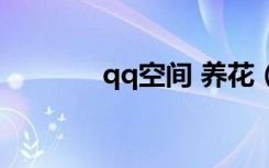 qq空间 养花（qq空间植物）
