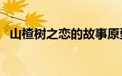 山楂树之恋的故事原型（山楂树之恋简介）