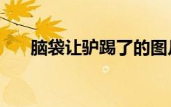 脑袋让驴踢了的图片（脑袋让驴踢了）
