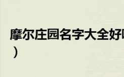 摩尔庄园名字大全好听的名字（摩尔庄园名字）