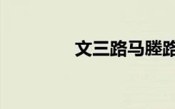 文三路马塍路口（文三路）