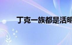 丁克一族都是活明白了（丁克一族）