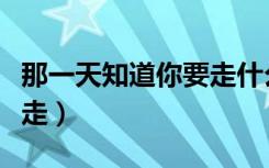 那一天知道你要走什么歌曲（那一天知道你要走）