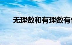 无理数和有理数有什么区别（无理数）