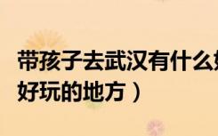 带孩子去武汉有什么好玩的地方（武汉有什么好玩的地方）