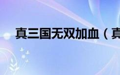 真三国无双加血（真三国无双显血工具）