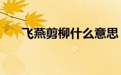飞燕剪柳什么意思（飞雪飘空燕剪柳）