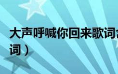 大声呼喊你回来歌词含义（大声呼喊你回来歌词）