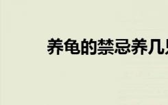 养龟的禁忌养几只（养龟的禁忌）