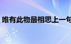 唯有此物最相思上一句（此物最相思上一句）
