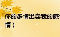 你的多情出卖我的感情（你的多情出卖我的爱情）