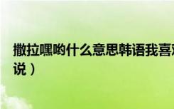 撒拉嘿哟什么意思韩语我喜欢你怎么说（韩语我喜欢你怎么说）