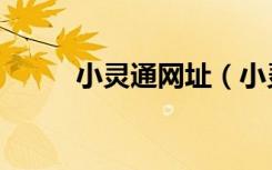 小灵通网址（小灵通网上营业厅）