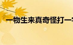 一物生来真奇怪打一字（一物长来真奇怪）
