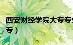 西安财经学院大专专业地址（西安财经学院大专）