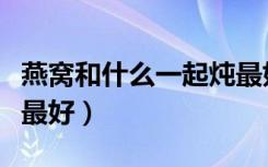 燕窝和什么一起炖最好吃（燕窝和什么一起炖最好）