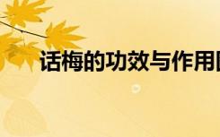 话梅的功效与作用图片（话梅的功效）