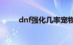 dnf强化几率宠物（dnf强化几率）