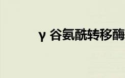 γ 谷氨酰转移酶增高（增高4号）