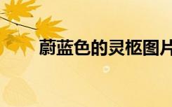 蔚蓝色的灵柩图片（蔚蓝色的灵柩）