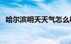 哈尔滨明天天气怎么样（哈尔滨明天天气）