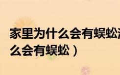 家里为什么会有蜈蚣消灭方法介绍（家里为什么会有蜈蚣）