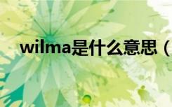 wilma是什么意思（wimax是什么意思）