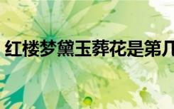 红楼梦黛玉葬花是第几回（红楼梦黛玉葬花）