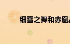 细雪之舞和赤凰战刀（赤凰战刀）