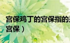 宫保鸡丁的宫保指的是什么意思（宫保鸡丁的宫保）