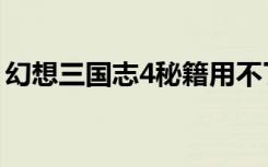 幻想三国志4秘籍用不了（幻想三国志4秘籍）