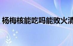 杨梅核能吃吗能败火清肠吗（杨梅核能吃吗）