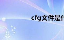 cfg文件是什么（CF G）
