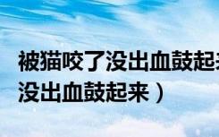 被猫咬了没出血鼓起来周围按压痛（被猫咬了没出血鼓起来）