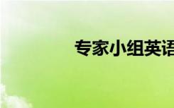专家小组英语（专家英语）