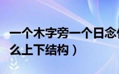 一个木字旁一个日念什么（一个木一个日念什么上下结构）