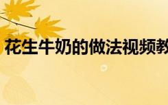 花生牛奶的做法视频教程（花生牛奶的做法）