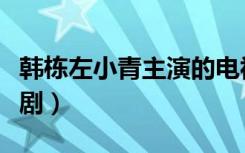 韩栋左小青主演的电视剧（左小青主演的电视剧）