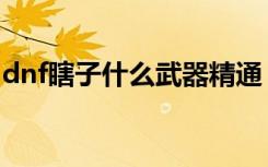 dnf瞎子什么武器精通（dnf瞎子用什么武器）